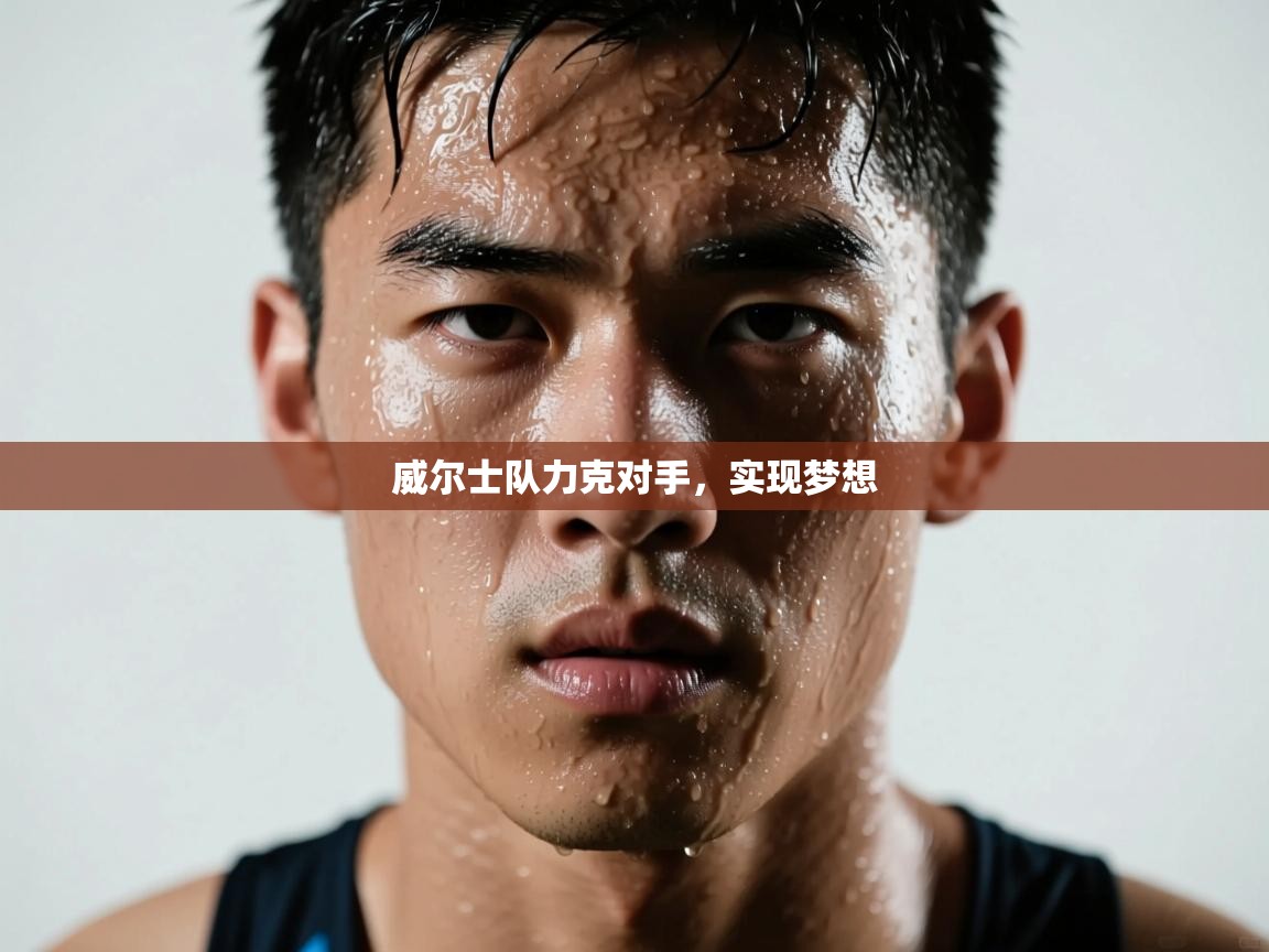 威尔士队力克对手，实现梦想  第2张