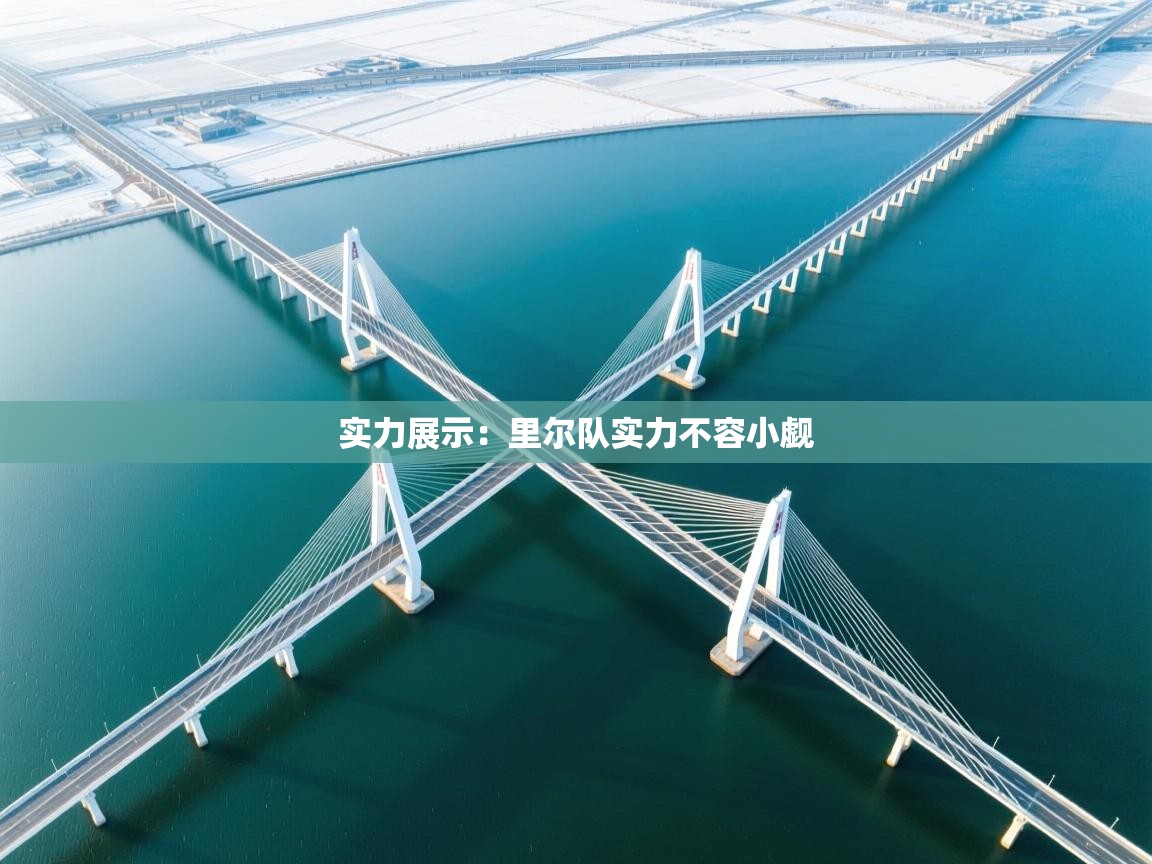 实力展示:里尔队实力不容小觑 第2张