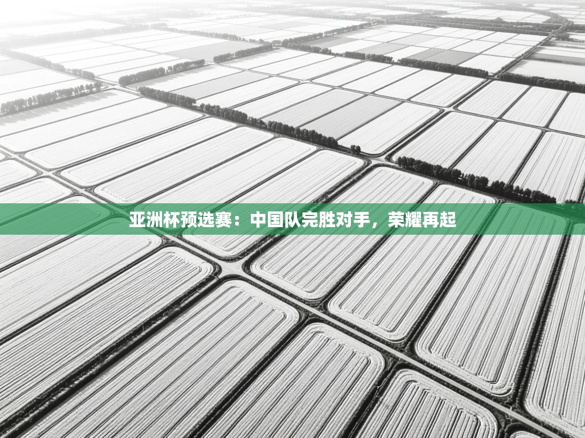 亚洲杯预选赛：中国队完胜对手，荣耀再起  第1张